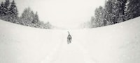 Whimsical Reality-Bending Photography Image 2