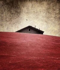 Whimsical Reality-Bending Photography Image 3