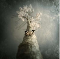 Whimsical Reality-Bending Photography Image 6