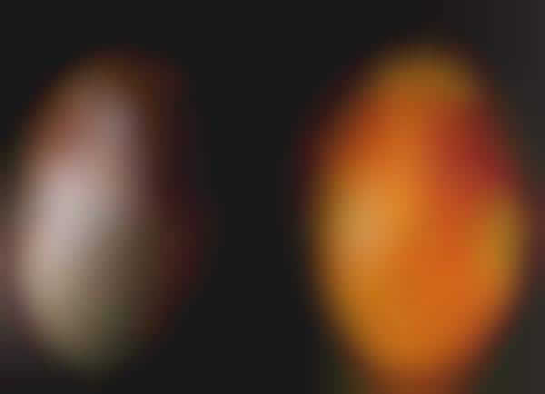 Romantic Eggshell Art