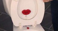 Disciplinary Toilet Accessories Image 3