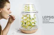 Edible Bug Breeding Terrariums