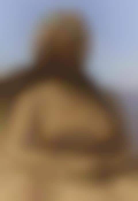 Royalty Inspired Sand Sculptures