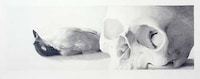 Eerie Gaping Skull Etches Image 2
