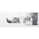 Eerie Gaping Skull Etches Image 2