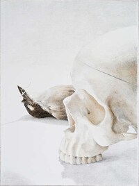 Eerie Gaping Skull Etches Image 8