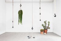 Modular Masculine Hanging Systems Image 3