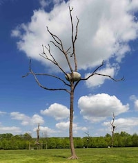Off-Putting Tree Sculptures Image 3
