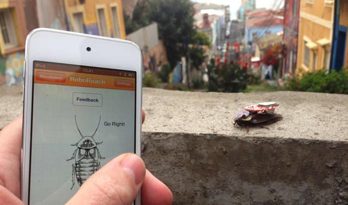 DIY Cyborg Bug Kits