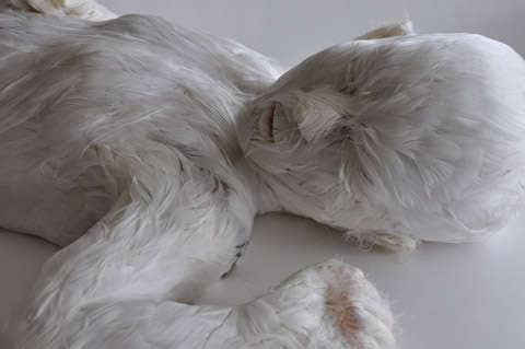 53 Haunting Humanoid Creations