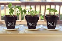 DIY Chalkboard Planters Image 2