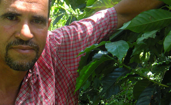 85 Farmer-Supporting Organizations