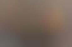 Animal-Shaped Crate Storage