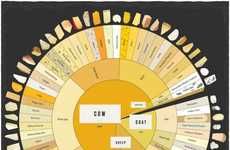 Cheese Guide Infographics