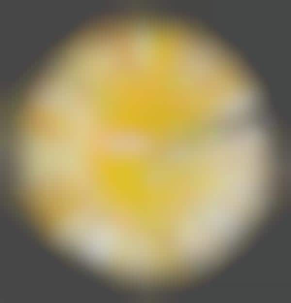Cheese Guide Infographics