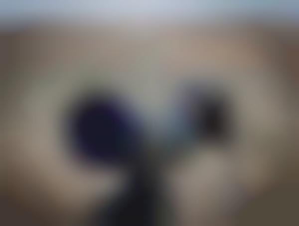Mega-Zoom Phone Adapters