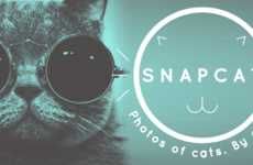 Cat Selfie-Enabling Apps