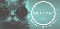 Cat Selfie-Enabling Apps