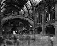 Ghostly Museum Timelapse Photos Image 3