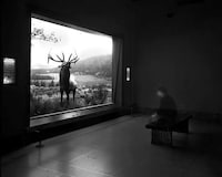 Ghostly Museum Timelapse Photos Image 5