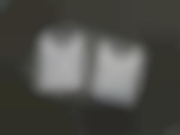 Lifetime Quality Titanium Tags