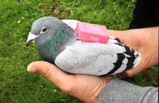 Tweeting Pigeon Campaigns