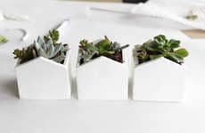 DIY Mini Clay Planters