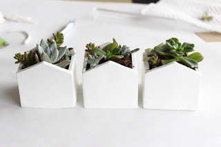 DIY Mini Clay Planters