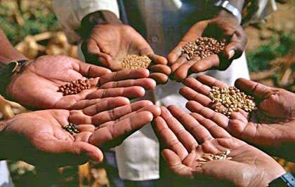 10 Mumbai-Based Social Enterprises