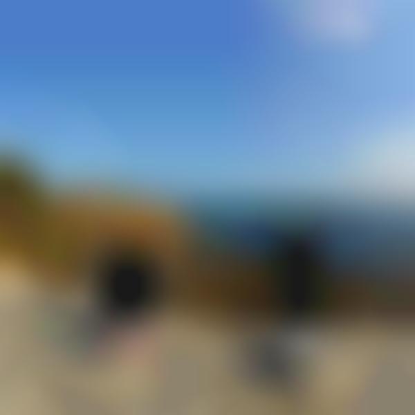 Panoramic Smartphone Devices