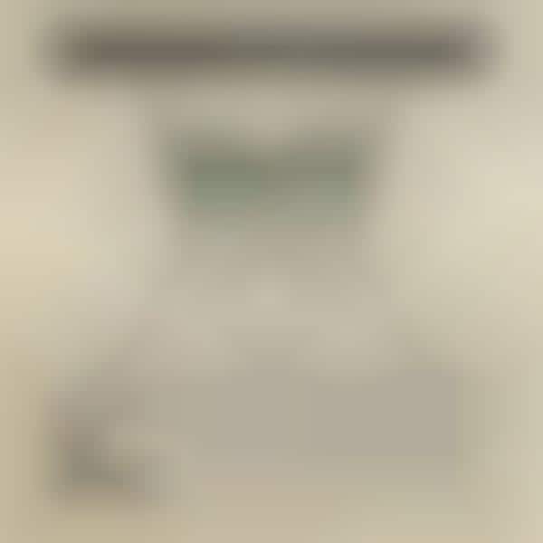 Stylish Sunglass-Clad Canines