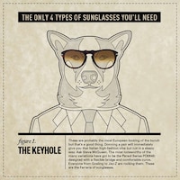 Stylish Sunglass-Clad Canines Image 3