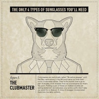 Stylish Sunglass-Clad Canines Image 4