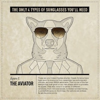 Stylish Sunglass-Clad Canines Image 5