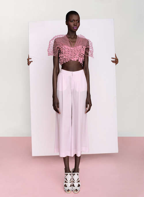 Pink-Permeated Photoshoots Image 2