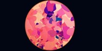 Trippy Alphabetized Animations Image 3