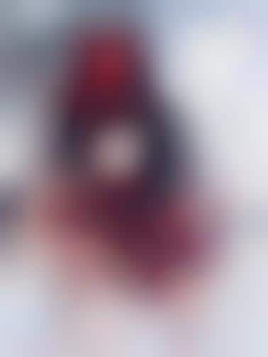 Snow-Covered Crimson Photography