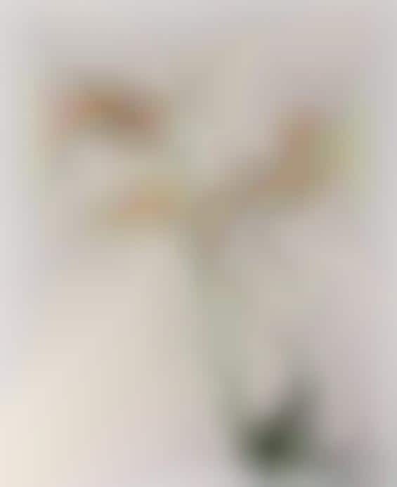 Reconstructed Floral Arrangements