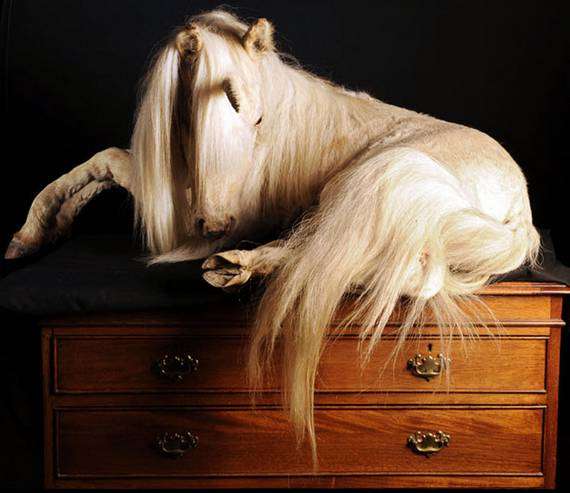 46 Unsettling Taxidermy Creations