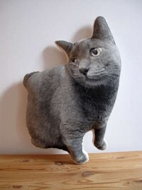 Personalized Pet Pillows Image 2