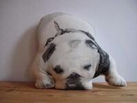 Personalized Pet Pillows Image 3