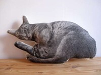 Personalized Pet Pillows Image 4