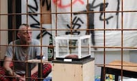 Dehumanizing Zoo Exhibitions Image 6