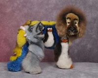 Ludicrous Pup Photos Image 2
