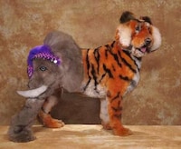 Ludicrous Pup Photos Image 7