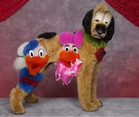 Ludicrous Pup Photos Image 8