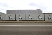 Spectacular Moving Murals Image 2