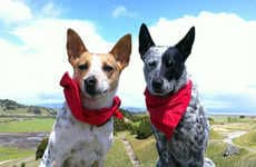 Bug-Repelling Canine Bandanas