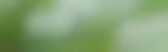 Sustainable Agro Advocacy