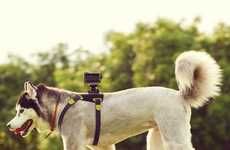 Canine Camera Equipment